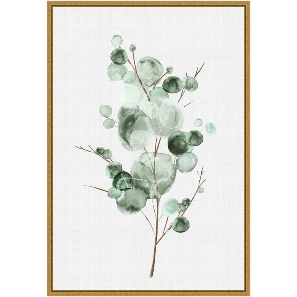Amanti Art Tender Sprout I Eucalyptus by Eva Watts Framed Canvas Wall Art Print, 23inH x 16inW, Gold MPN:A42705040760