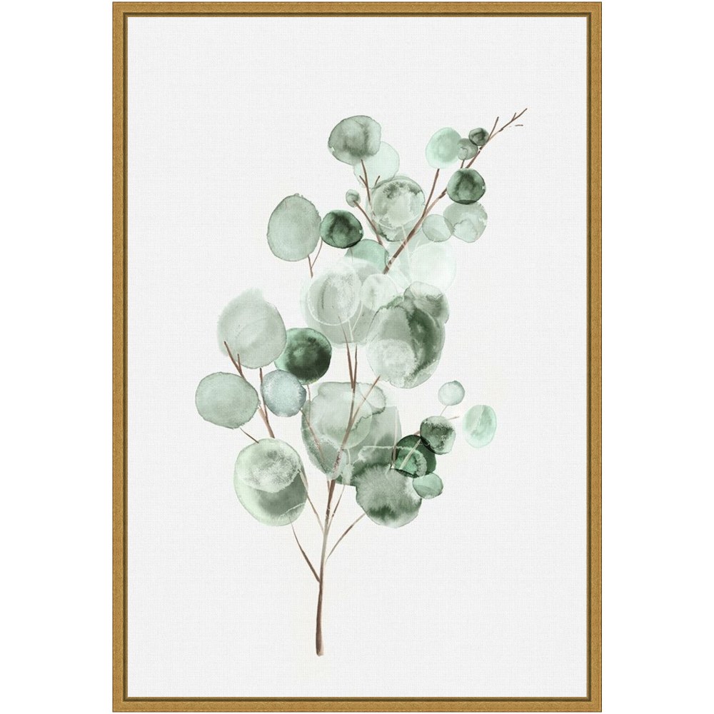 Amanti Art Tender Sprout II Eucalyptus by Eva Watts Framed Canvas Wall Art Print, 23inH x 16inW, Gold MPN:A42705040761