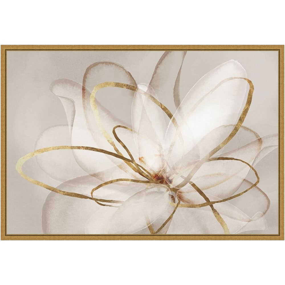 Amanti Art Transparent Beauty III Floral by Eva Watts Framed Canvas Wall Art Print, 16inH x 23inW, Gold MPN:A42705040764