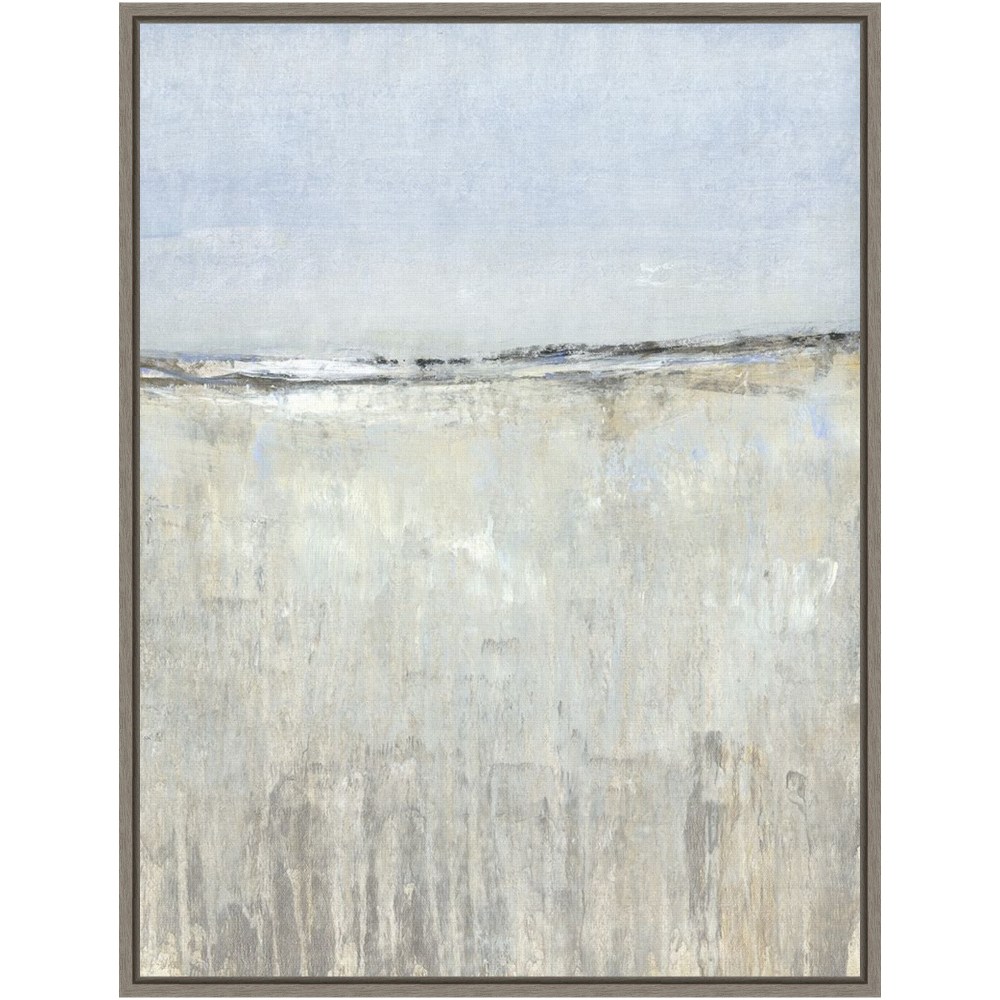 Amanti Art The Clearing II by Tim OToole Framed Canvas Wall Art Print, 24inH x 18inW, Greywash MPN:A42705373939