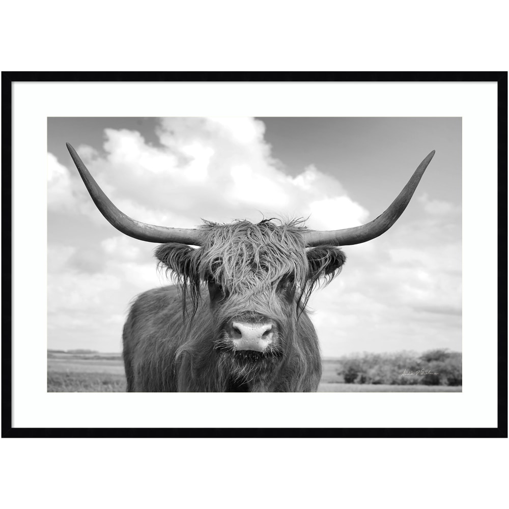 Amanti Art Highland Cow On the Ranch by Andre Eichman Wood Framed Wall Art Print, 30inH x 41inW, Black MPN:A42705460009