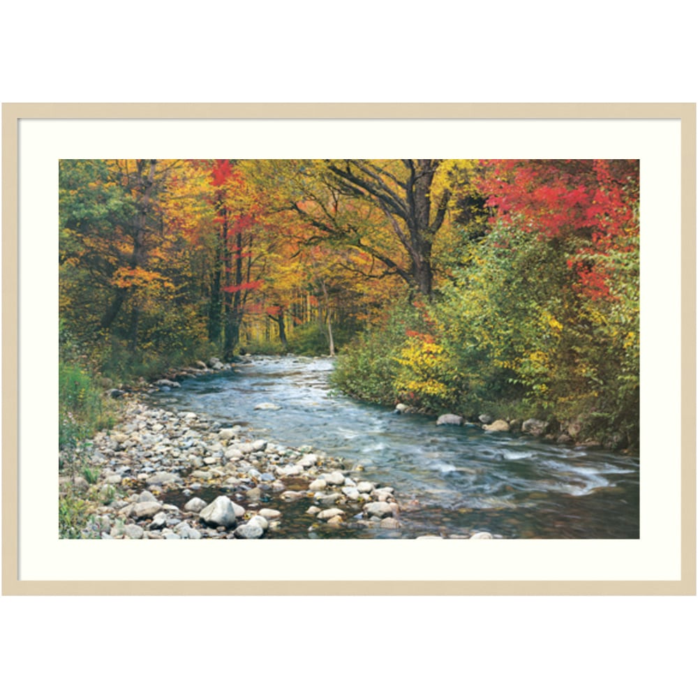 Amanti Art Forest Creek I Wood Framed Wall Art Print, 41inH x 29inW, Natural MPN:A42705530242