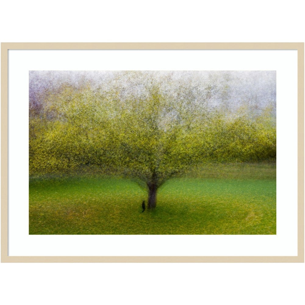 Amanti Art The Cat By The Tree by Arne Ostlund Wood Framed Wall Art Print, 41inW x 30inH, Natural MPN:A42705535519