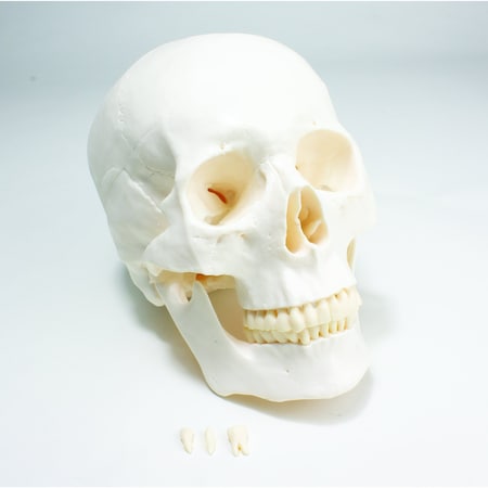 Example of GoVets United Scientific category
