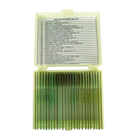 Basic Botany Models Slide Set of 25 MPN:UNSLBOT25