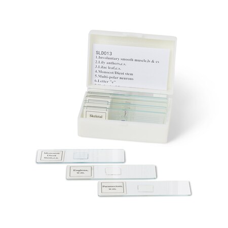Biology Prepared Slide Set, 13 Slides MPN:SLD013