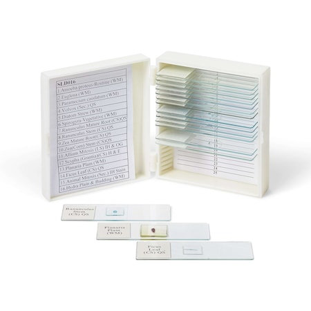 Biology Prepared Slide Set Of 16 MPN:SLD016
