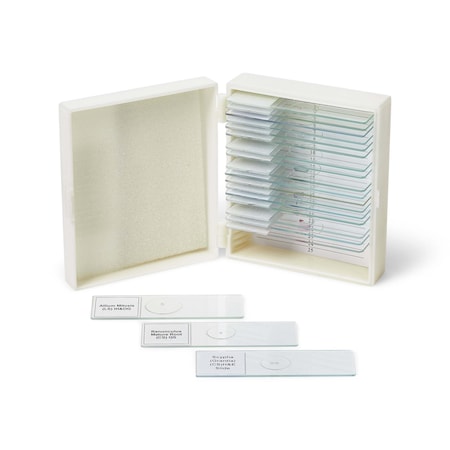 Biology Prepared Slide Set of 20 MPN:SLD020