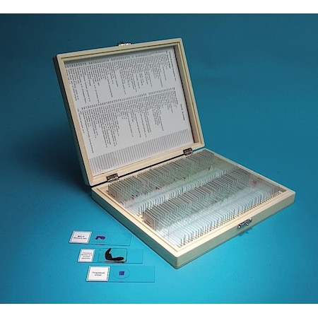 Prepared Slide Set, 100 Slides MPN:SLD100N