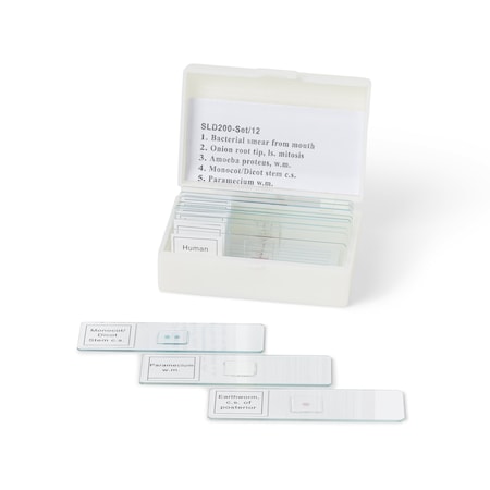 Biology Prepared Slide Set, 12 Slides MPN:SLD200-SET/12