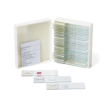 Prepared Slide Set, 25 Slides MPN:SLD500-SET/25