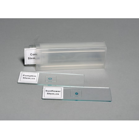 Prepared Slide Set, 4 Slides MPN:SLDSET4