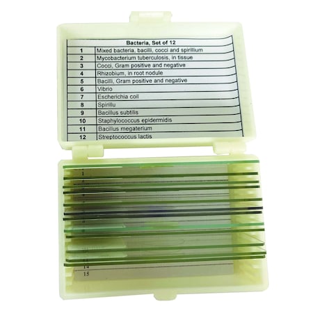 Bacteria Slide Set of 12 MPN:UNSLBAC12