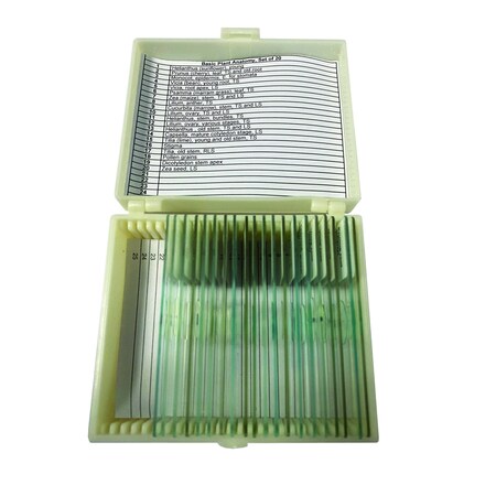 Basic Plant Anatomy Slide Set of 20 MPN:UNSLPLNT20