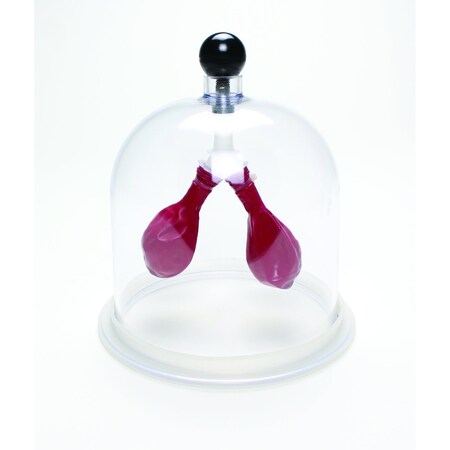 Lung Apparatus MPN:LUNG01-B