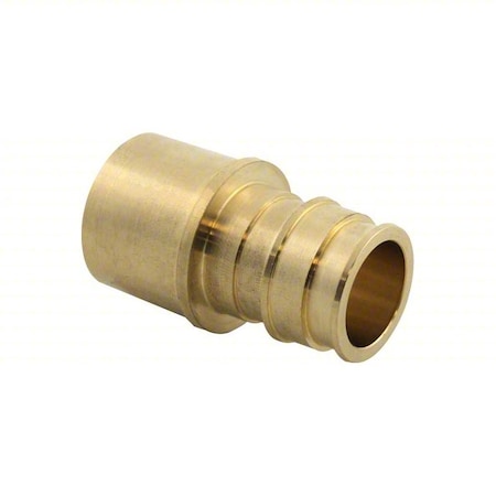 Strt, Brass, Barbed 1 1/4