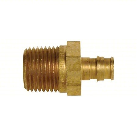 Straight, Brass, Barbed 1/2