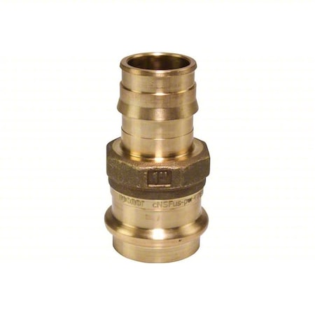 Strt, Brass, Barbed 1