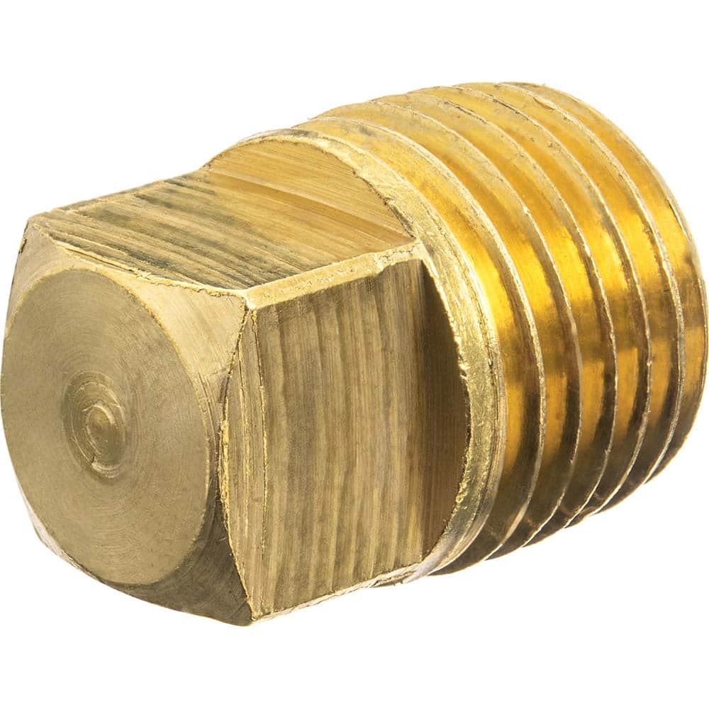 Brass Pipe Fitting: 1/4