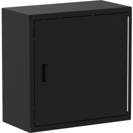 Valley Craft® Wall Mountable Storage Cabinet 24