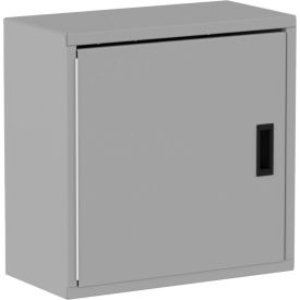 Valley Craft® Wall Mountable Storage Cabinet 24