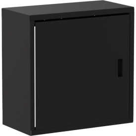Valley Craft® Wall Mountable Storage Cabinet 24