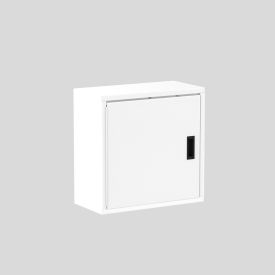 Valley Craft® Wall Mountable Storage Cabinet 24