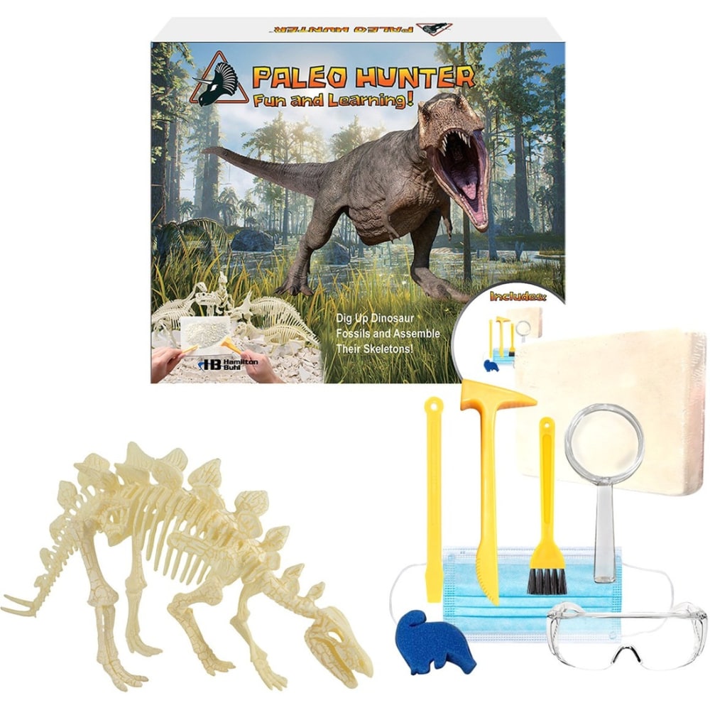 Hamiltonbuhl Paleo Hunter Dig Kit For STEAM Eucation, Stegosaurus MPN:HECPHSTS