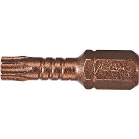 Impactech TORX® 30 Insert Bit x 1