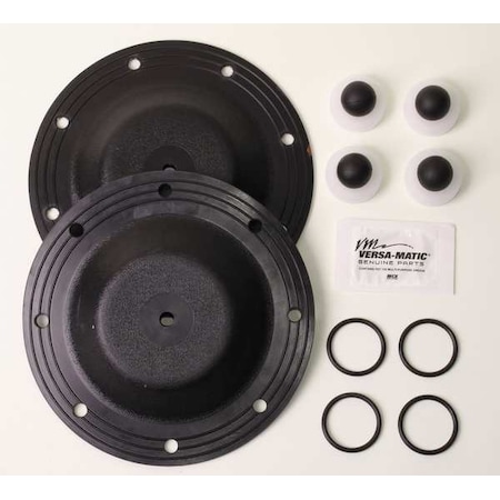 Fluid End Repair Kit, Buna-N Ball, 1 in MPN:PVM1.0 BN KIT