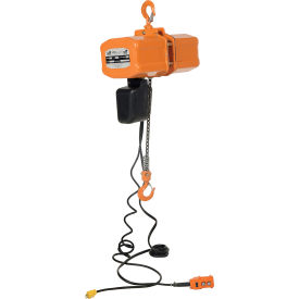 Economy Electric Chain Hoist 1 Ton Capacity 15' Lift 17 FPM 220V H-2000-1
