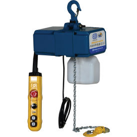 1/4 Ton Variable Speed Electric Chain Hoist 13' Lift 0-49 FPM 220V VS-ECH-5-1PH
