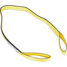 Vestil™ Polyester Lifting Web Sling 2
