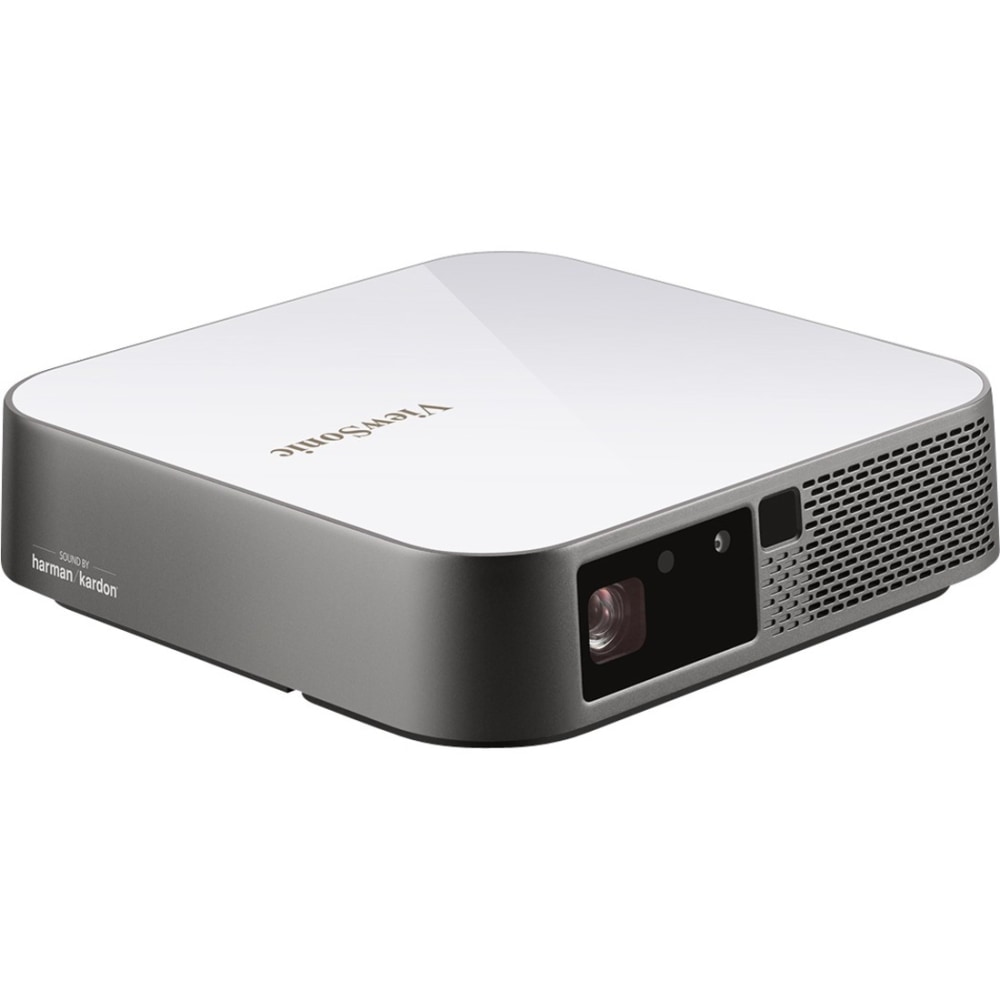 Example of GoVets Viewsonic brand