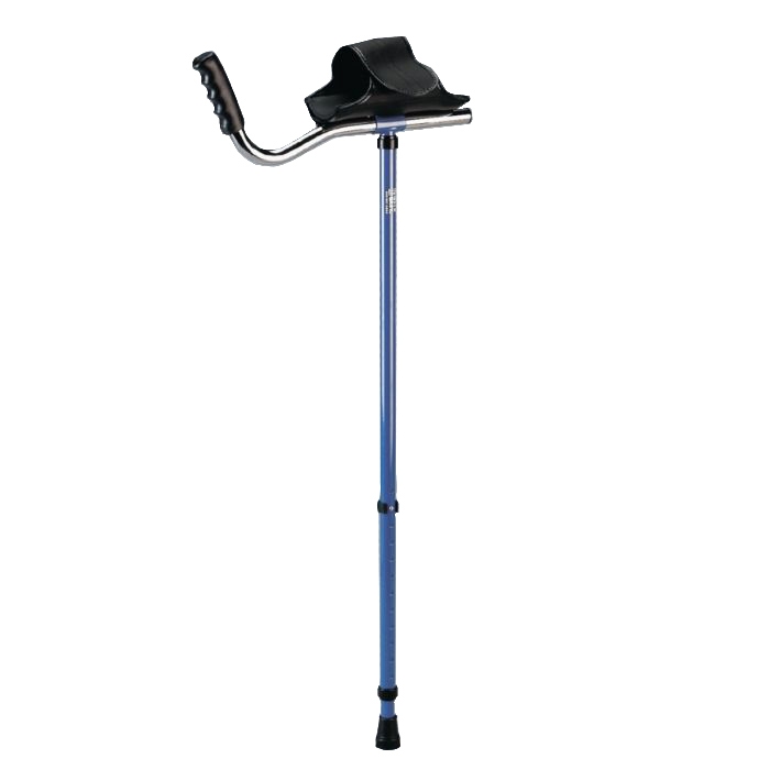 Example of GoVets Walk Easy brand