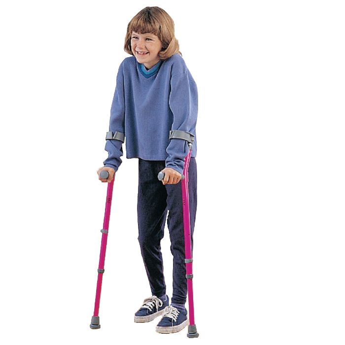 Example of GoVets Walk Easy brand