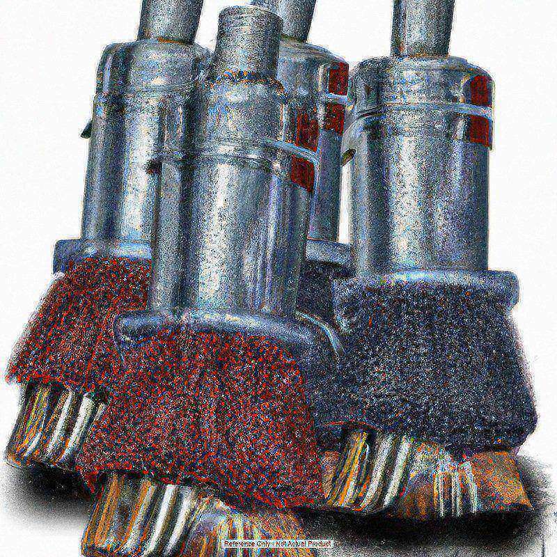 Example of GoVets Cup Brushes category