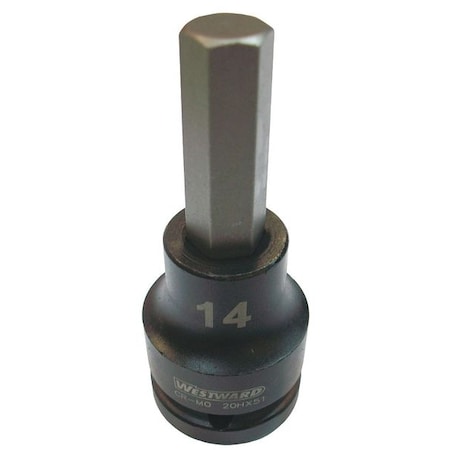 WESTWARD 3/4 in Drive Impact Socket Bit Standard Socket, Black Oxide, Impkt Skt Bt St, Steel, H14 MPN:20HX51