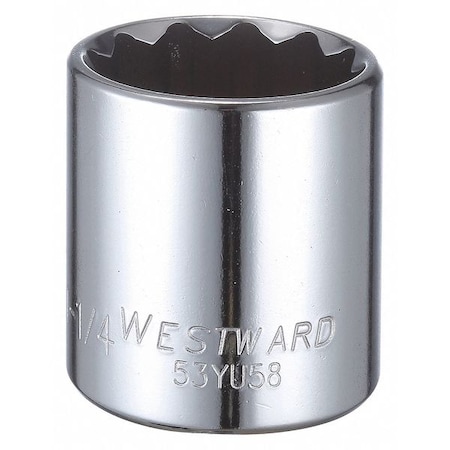 WESTWARD 1/2 in Drive, 1-1/4