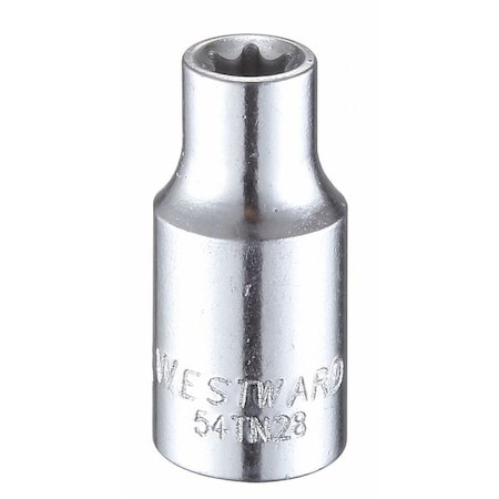 1/4 in Drive Torx® Socket SAE E-6 Tip, 1 13/16 in L MPN:54TN28