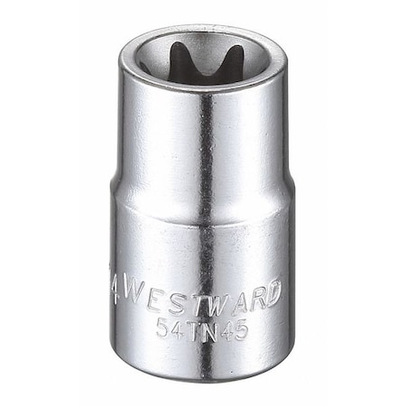 3/8 in Drive Torx® Socket SAE E-14 Tip, 1 1/4 in L MPN:54TN45