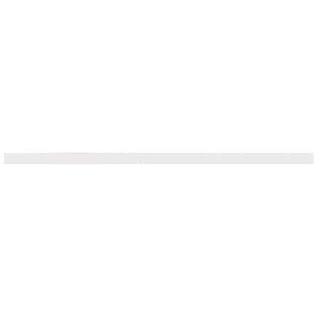 Door Shelf Trim MPN:2201061