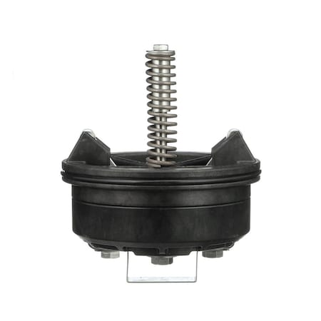 Example of GoVets Wilkins brand