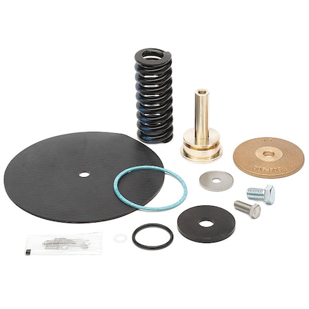 Repair Kit, Reduce Valve, 2-1/2 In MPN:RK212-500XL