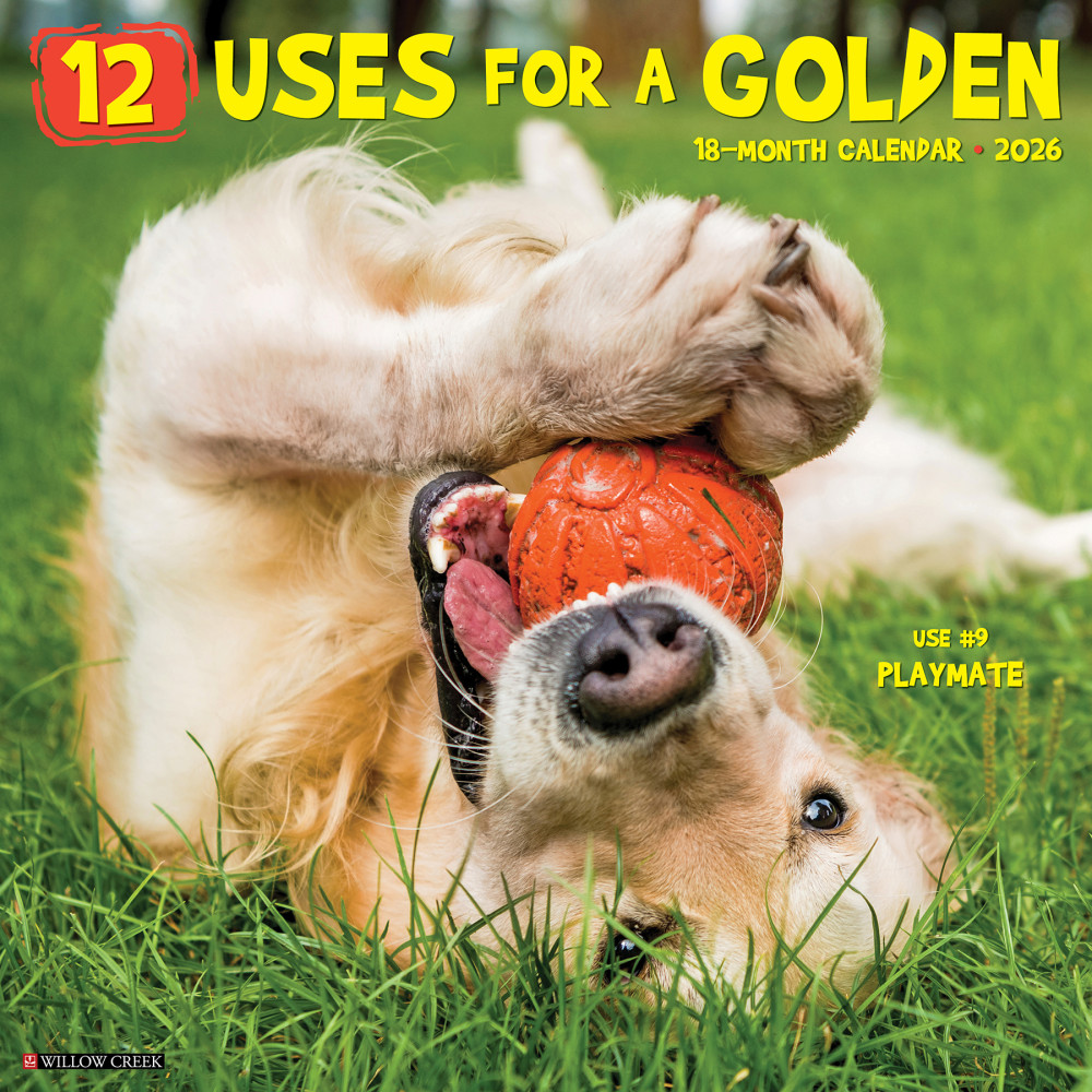 2026 Willow Creek Press Animals Monthly Wall Calendar, 12in x 12in, 12 Uses for a Golden, January To December, 49730 MPN:49730