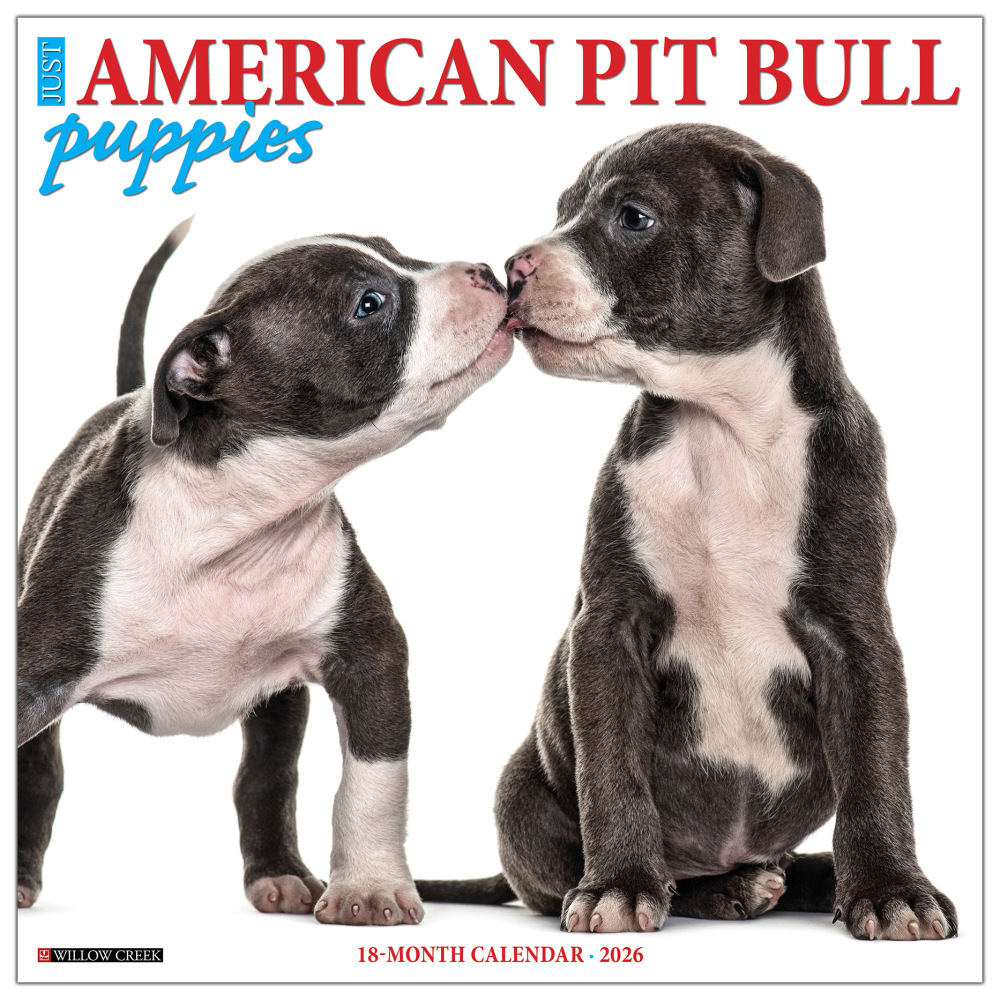 2026 Willow Creek Press Art & Design Monthly Wall Calendar, 12in x 12in, American Pit Bull Terrier Puppies, January To December, 49839 MPN:49839