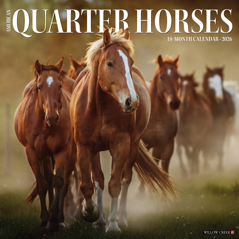 2026 Willow Creek Press Animals Monthly Wall Calendar, 12in x 12in, American Quarter Horses, January To December, 49853 MPN:49853