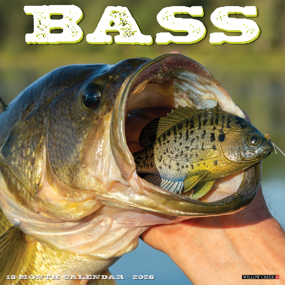 2026 Willow Creek Press Animals Monthly Wall Calendar, 12in x 12in, Bass, January To December, 50064 MPN:50064