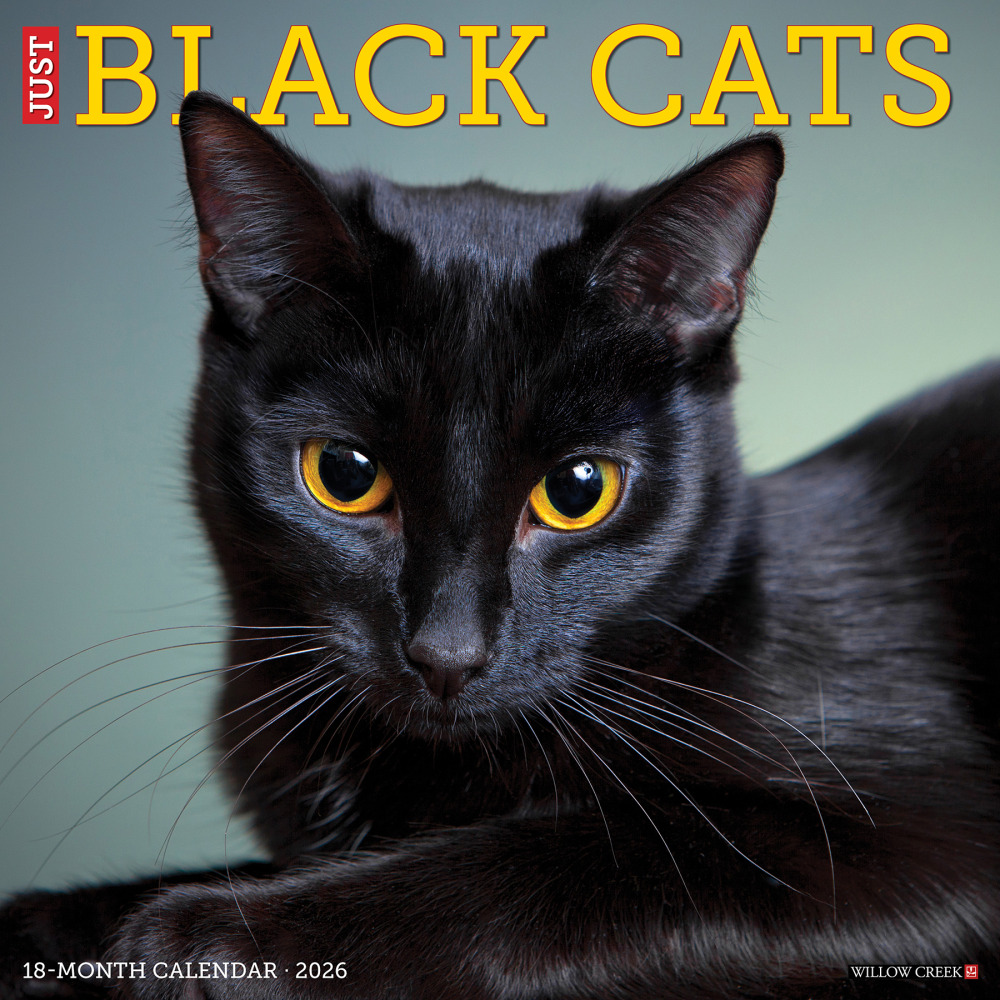 2026 Willow Creek Press Animals Monthly Wall Calendar, 12in x 12in, Black Cats, January To December, 50286 MPN:50286