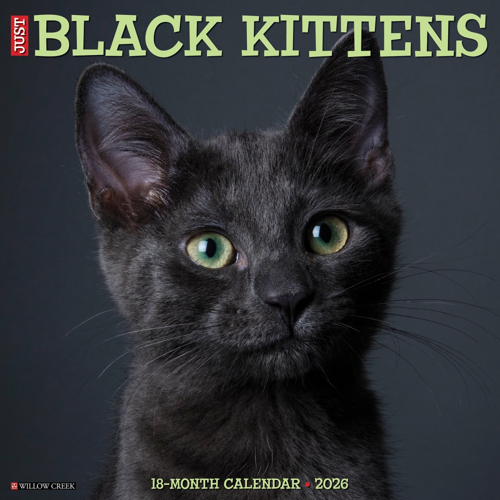 2026 Willow Creek Press Animals Monthly Wall Calendar, 12in x 12in, Black Kittens, January To December, 50293 MPN:50293